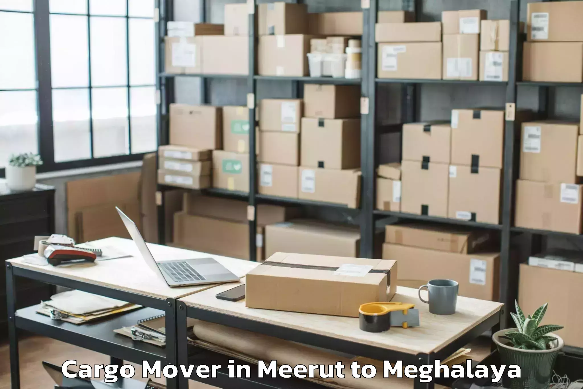 Affordable Meerut to Umsaw Cargo Mover